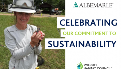 Celebrating Sustainability with Albemarle
